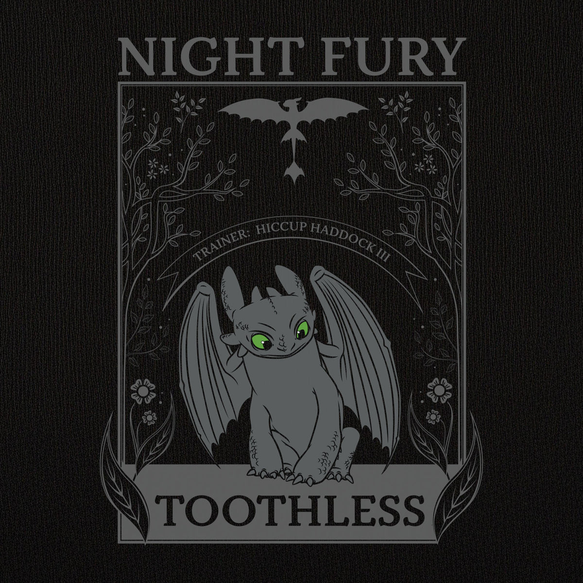 Produktbild Draktränaren - Night Fury T-shirt dam svart