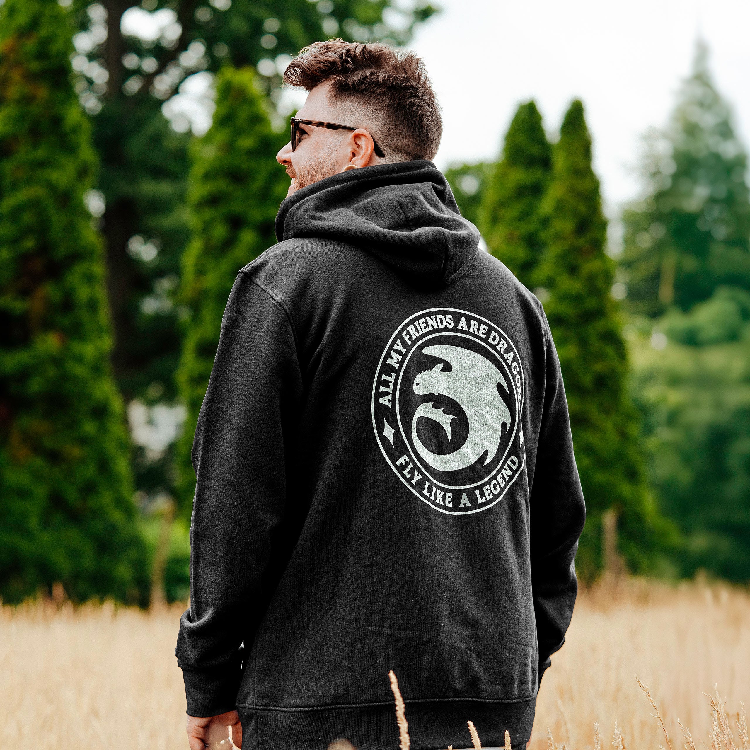 Produktbild Draktränaren - Night Fury Legend svart hoodie