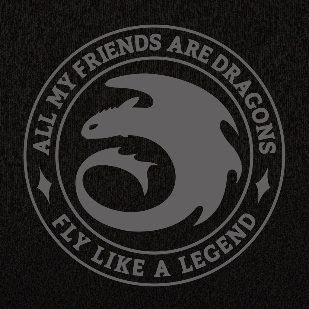 Produktbild Draktränaren - Night Fury Legend svart hoodie