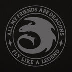 Produktbild Draktränaren - Night Fury Legend svart hoodie