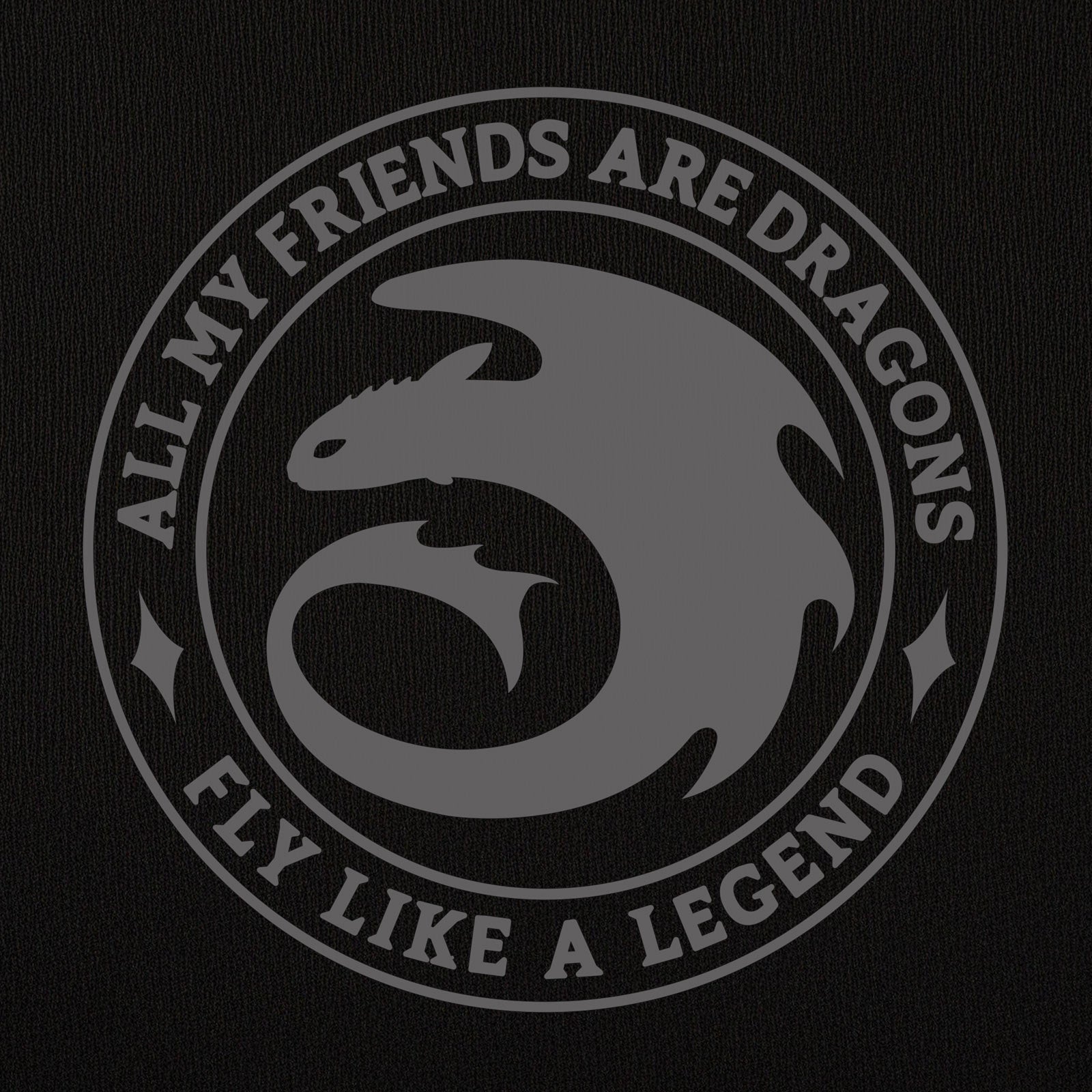 Produktbild Draktränaren - Night Fury Legend svart hoodie