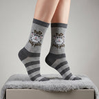 Produktbild The Big Bang Theory - 3-pack strumpor i presentask