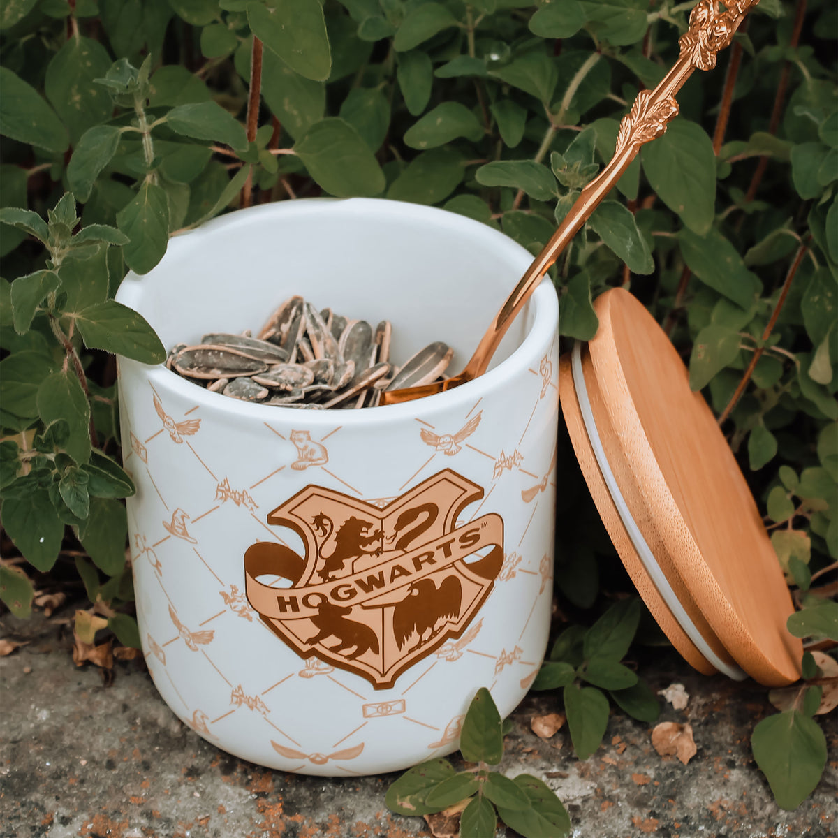 Produktbild Harry Potter - Hogwarts Burk Serene Collection