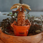 Produktbild Harry Potter - Mandragora trädgårdsfigur