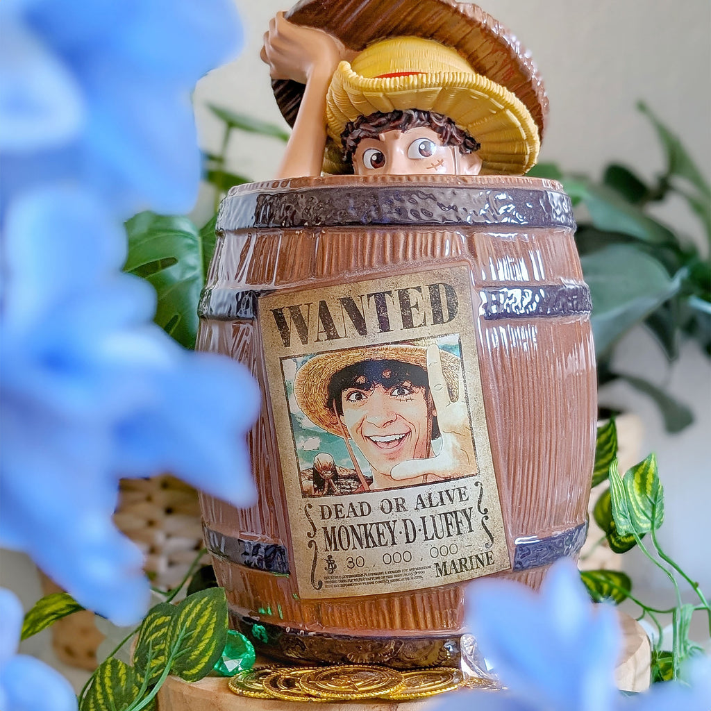 Produktbild One Piece Netflix - Monkey D. Luffy kakburk