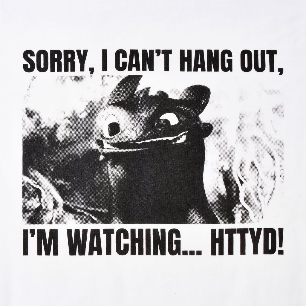 Produktbild Toothless Watching HTTYD T-shirt - Draktränaren