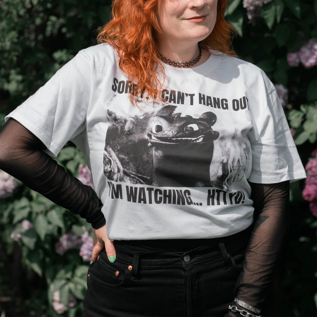 Produktbild Toothless Watching HTTYD T-shirt - Draktränaren