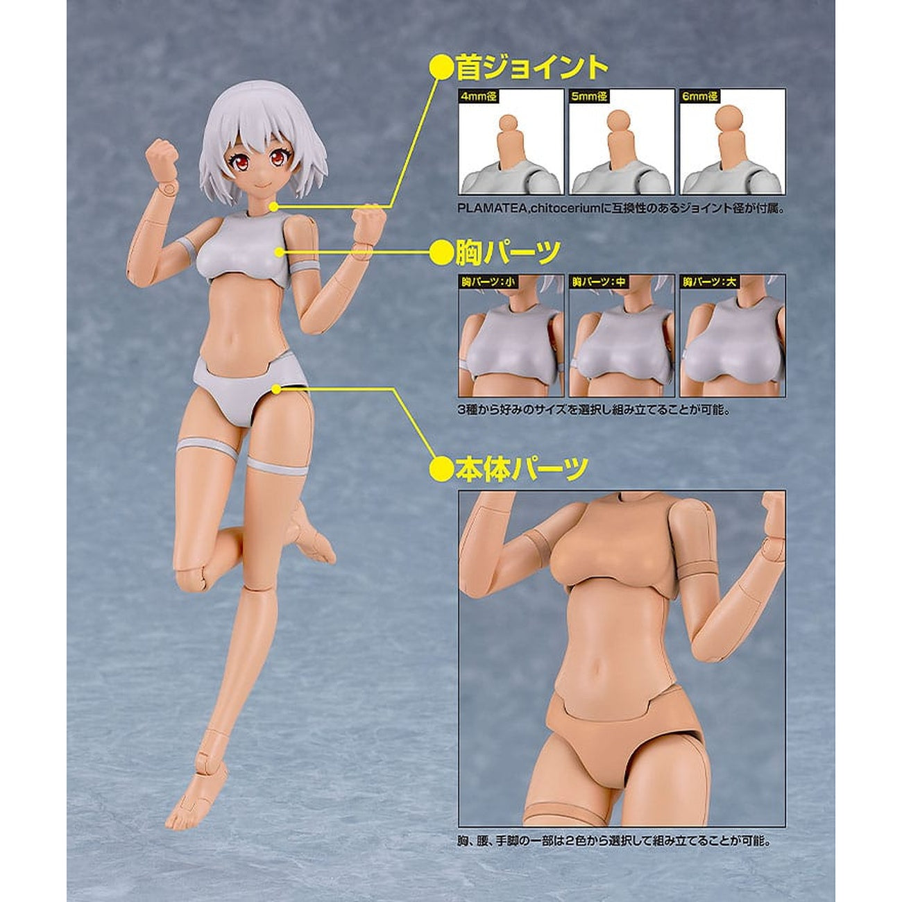 Produktbild PLAMATEA Modellbyggsats - Muse Body: Ichika C Type