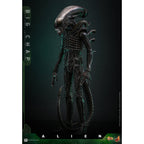 Produktbild Alien - Big Chap Masterpiece 1:6 actionfigur