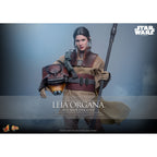 Produktbild Star Wars Episod VI – Leia Organa Masterpiece 1:6 actionfigur