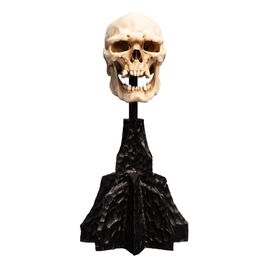 Produktbild Sagan om Ringen - Skalle av en Mordor-Orch Mini Staty