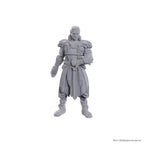 Produktbild D&D Nolzur's Marvelous Miniatures Omålade miniatyrer Jaheira & Halsin