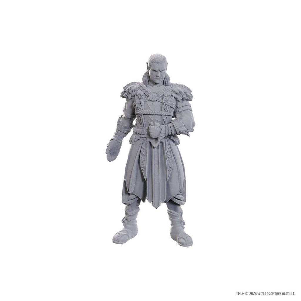 Produktbild D&D Nolzur's Marvelous Miniatures Omålade miniatyrer Jaheira & Halsin