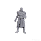 Produktbild D&D Nolzur's Marvelous Miniatures Omålade miniatyrer Jaheira & Halsin