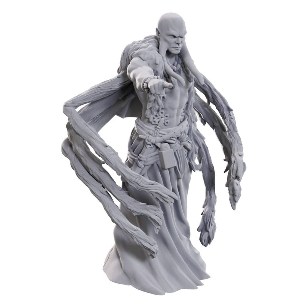 Produktbild D&D Nolzur's Marvelous Miniatures Omålade miniatyrer Krakenpräst