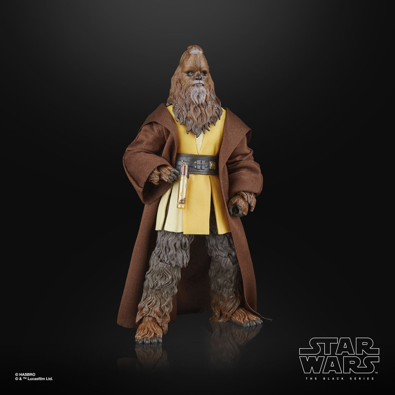 Produktbild Star Wars: The Acolyte Black Series Actionfigur Jedi Master Kelnacca 15 cm
