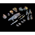 Produktbild Cosmic Legions Actionfigur T.U.5.C.C. Experiment CC-24