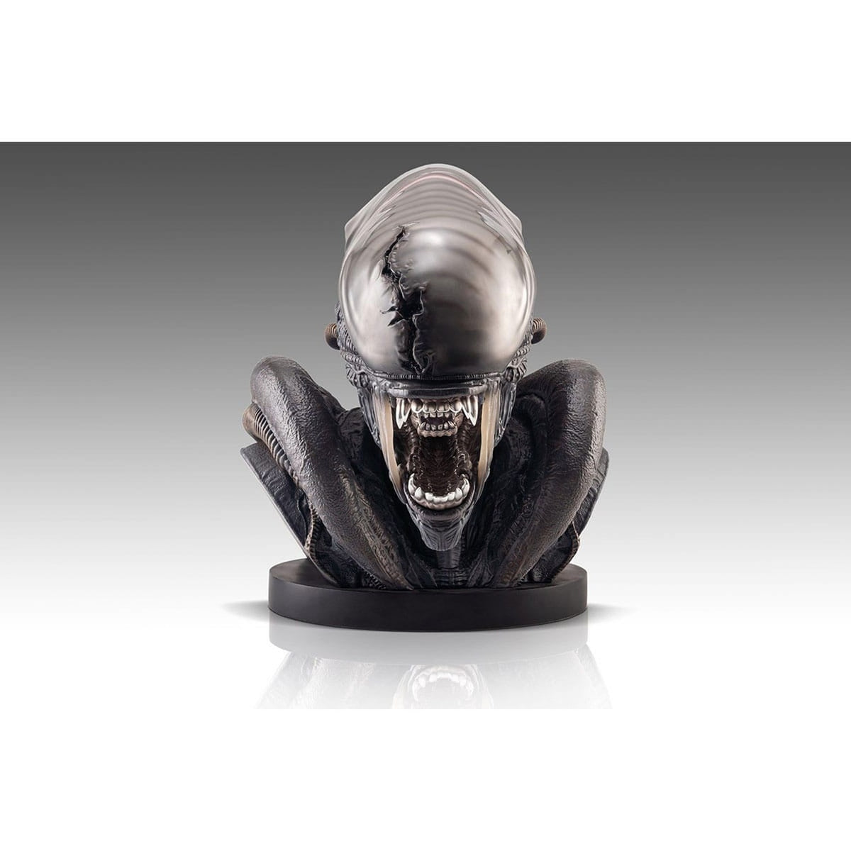 Produktbild Alien Romulus Byst 1/1 Xenomorph 53 cm