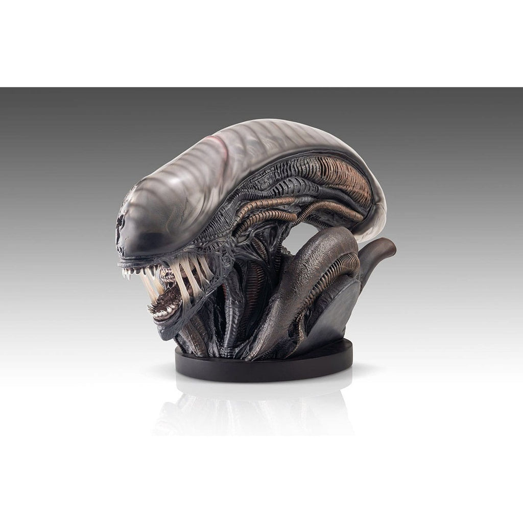 Produktbild Alien Romulus Byst 1/1 Xenomorph 53 cm