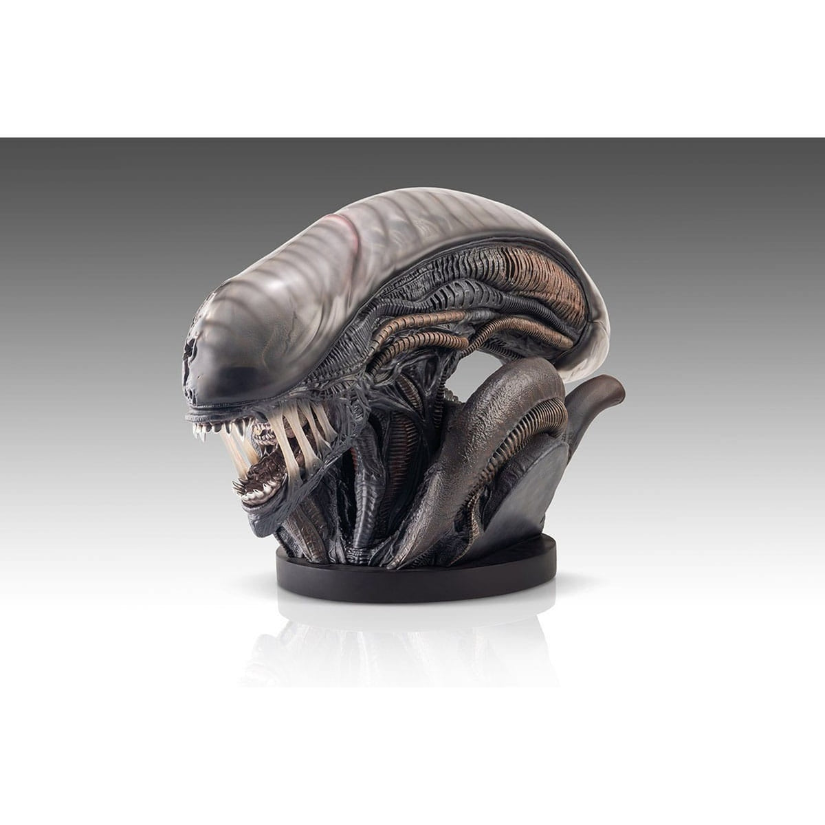 Produktbild Alien Romulus Byst 1/1 Xenomorph 53 cm
