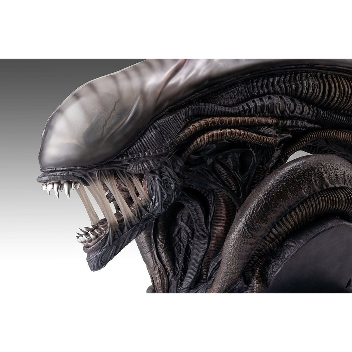 Produktbild Alien Romulus Byst 1/1 Xenomorph 53 cm