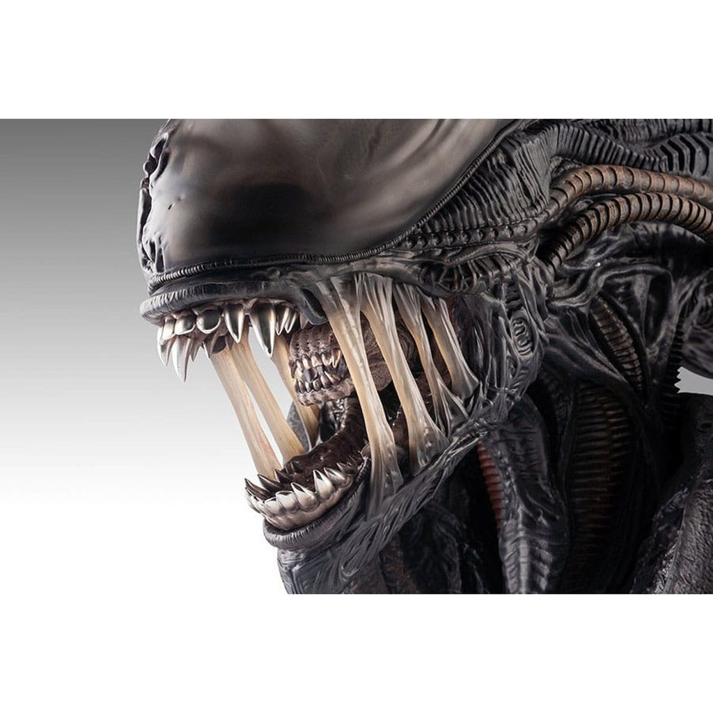 Produktbild Alien Romulus Byst 1/1 Xenomorph 53 cm