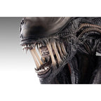 Produktbild Alien Romulus Byst 1/1 Xenomorph 53 cm
