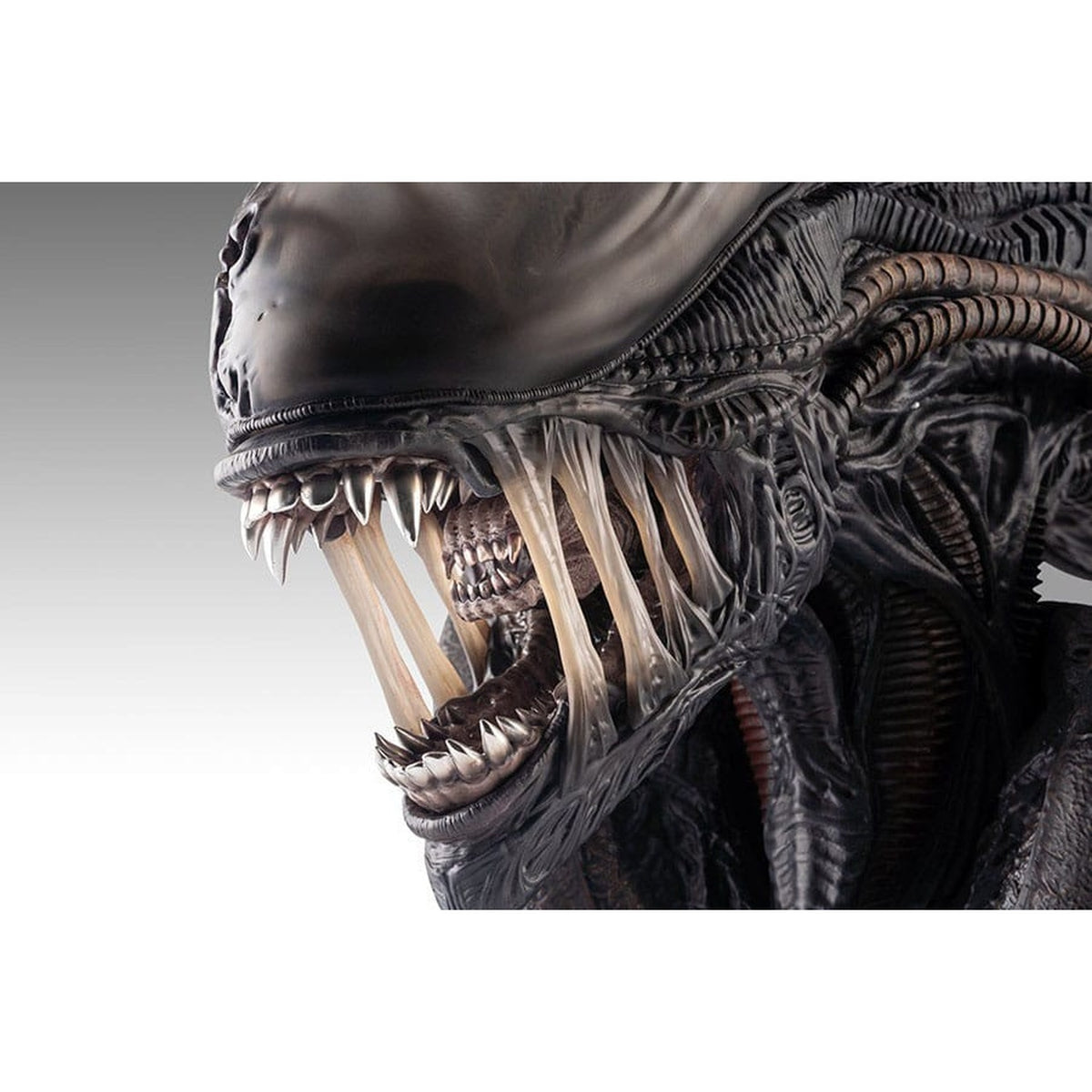 Produktbild Alien Romulus Byst 1/1 Xenomorph 53 cm