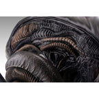 Produktbild Alien Romulus Byst 1/1 Xenomorph 53 cm