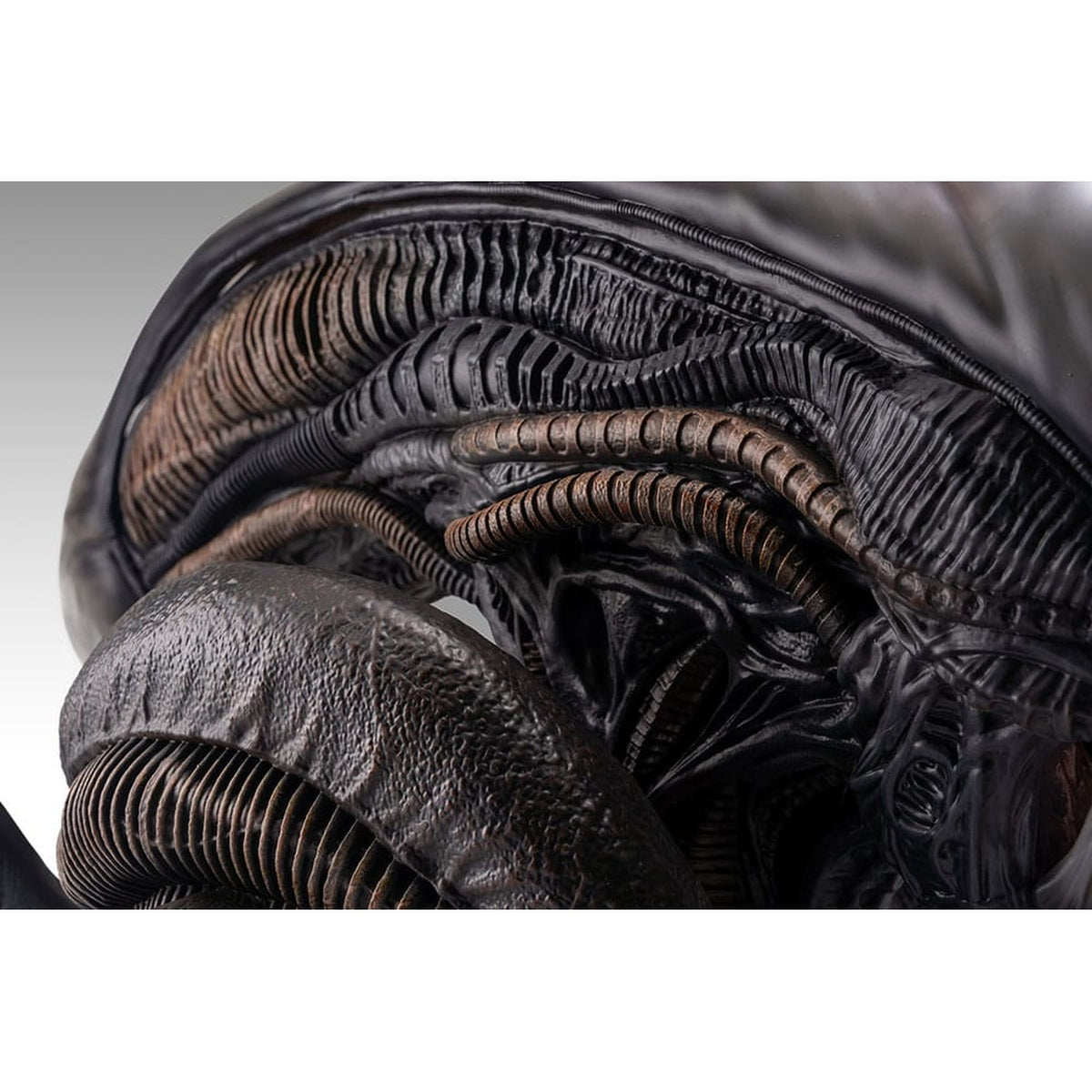 Produktbild Alien Romulus Byst 1/1 Xenomorph 53 cm