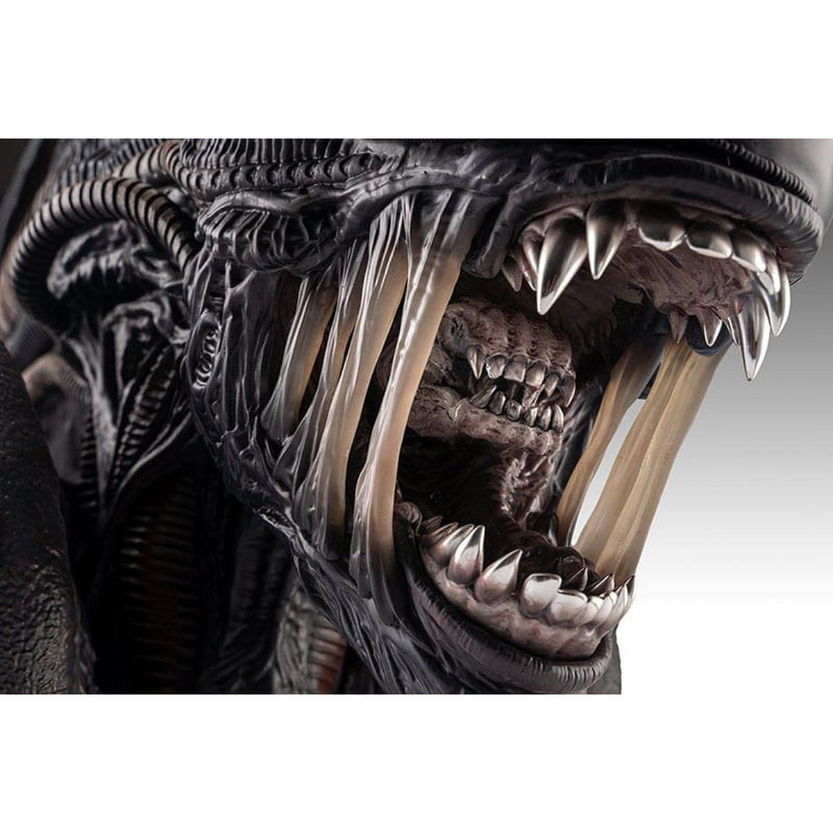 Produktbild Alien Romulus Byst 1/1 Xenomorph 53 cm