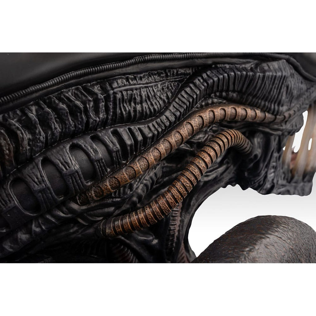 Produktbild Alien Romulus Byst 1/1 Xenomorph 53 cm