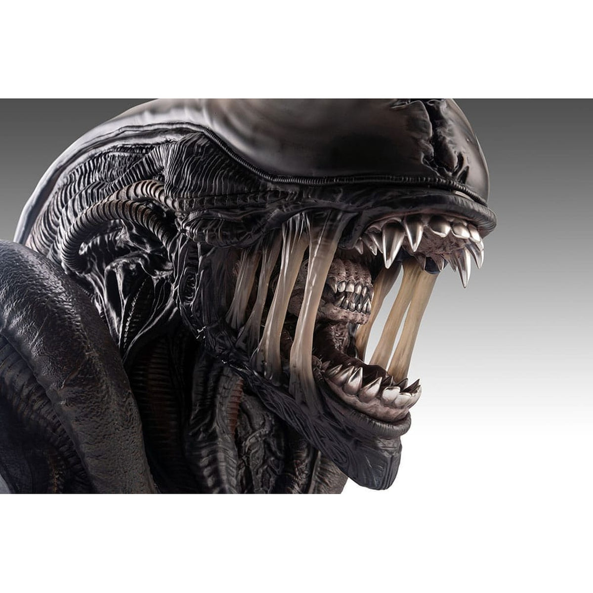 Produktbild Alien Romulus Byst 1/1 Xenomorph 53 cm
