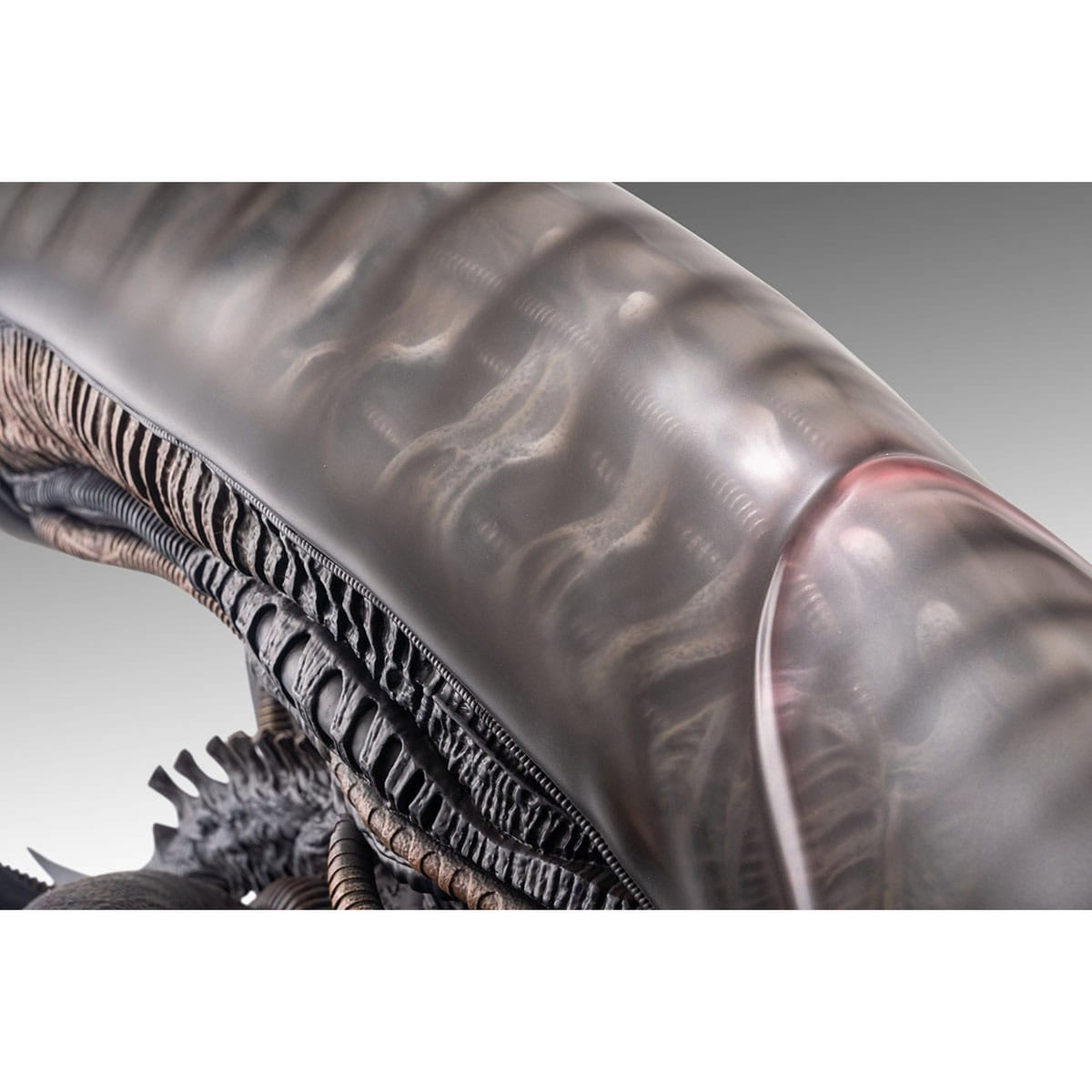 Produktbild Alien Romulus Byst 1/1 Xenomorph 53 cm
