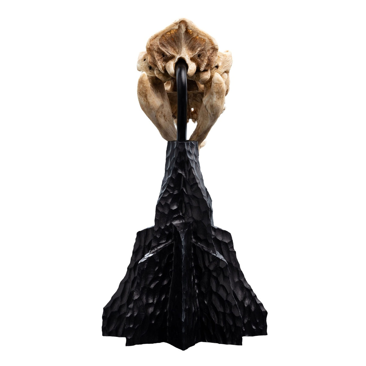 Product image The Lord of the Rings Mini Statue Skull of a Warg 20 cm