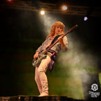 Produktbild Def Leppard Rock Iconz Statyett Rick Savage 24 cm