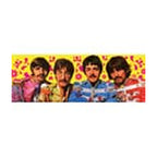 Produktbild The Beatles Spelkort Green Version