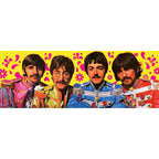 Produktbild The Beatles Spelkort Green Version