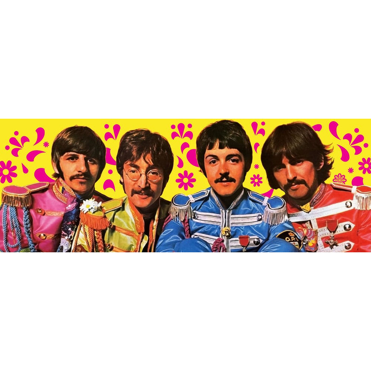 Produktbild The Beatles Spelkort Green Version