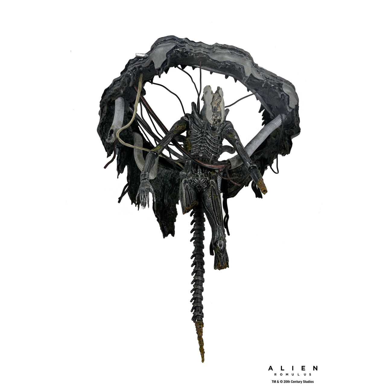 Produktbild Alien: Romulus Actionfigur Deluxe Suspended Lab Xenomorph