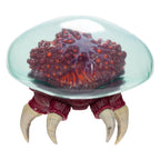 Product image World of Nintendo Metroid Prime Metroid Action Figure